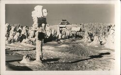 Snowy Landscape with Buildings and Ice-Covered Trees Deštné v Orlických horách, Czechoslovakia Postcard Postcard Postcard