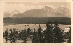 View from Strba of the High Tatras Mountains Postcard