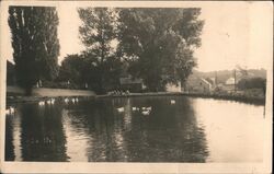 Ducks on a Pond, Tasovice, Czechoslovakia Postcard