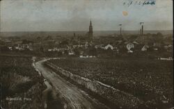 Germany - Grünstadt, Pfalz - View from Vineyard Postcard