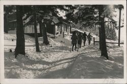 Semmering, Austria: Skiers ascend to Sonnwendstein Postcard Postcard Postcard