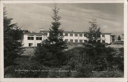 Czechoslovakia Sanatorium Buchťák Kopec Postcard Postcard Postcard