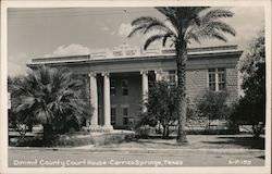 Dimmit County Court House Carrizo Springs, TX Postcard Postcard Postcard