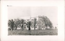 Kenedy County Courthouse Postcard