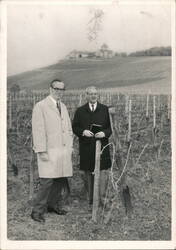 Two Men in Vineyard, Schloss Johannisberg on the Rhine Postcard