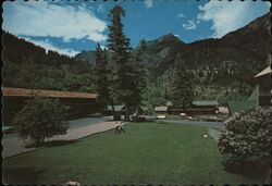 Twin Peaks Motel, Ouray, Colorado Postcard