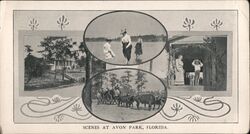 Scenes at Avon Park, Florida Postcard