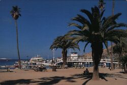 Catalina Island, California Two Harbors Express Boat Postcard