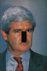 Newt Gingrich Light Switch Cover Postcard Postcard