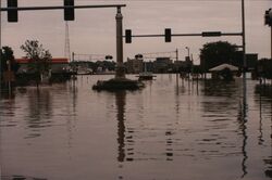 The Great Flood of 1993 Quad Cities Iowa & Illinois Postcard