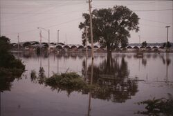 Marquis Harbor Yacht Club Flooded during Great Flood of 1993 Postcard