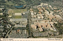 Aerial View of UCLA Campus, Westwood, California Los Angeles, CA Postcard Postcard Postcard