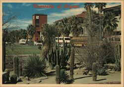 University of Arizona, Student Union Memorial Building Tucson, AZ Mac Miller Postcard Postcard Postcard