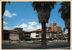 University of Arizona, Tucson, Arizona Ray Manley Postcard Postcard Postcard