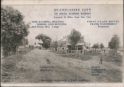 Quanicassee City, Michigan - An Ideal Summer Resort Postcard