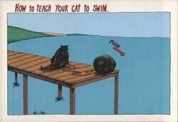 How to Teach Your Cat to Swim Cartoon Postcard