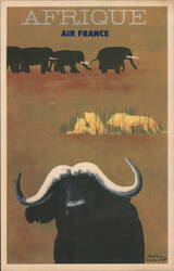 Afrique Air France Buffalo and Elephants Postcard Postcard