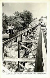 Just Bellow Halfway Station, Mt. Cranmore Postcard