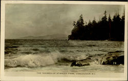 The Shores Of Stanley Park Vancouver, BC Canada British Columbia Postcard Postcard