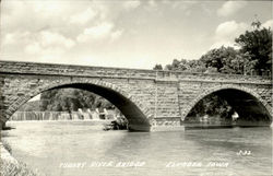 Turkey River Bridge Elkader, IA Postcard Postcard