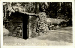 Tharp's Log Sequoia National Park, CA Sequoia & Kings Canyon National Parks Postcard Postcard