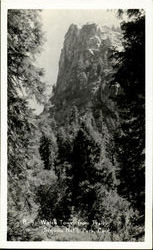 Watch Tower From Trail, Sequoia Natural Park Postcard