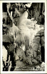 The Organ Crystal Cave, Sequoia Natural Park Postcard