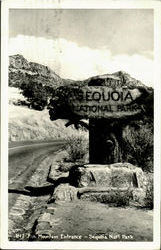 Psn Mountain Entrance, Sequoia Natural Park Postcard