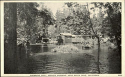 Swimming Pool, Sequoia Gardens Santa Cruz, CA Postcard Postcard