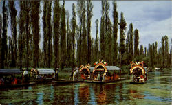 Xochimilco D. F Mexico Postcard Postcard