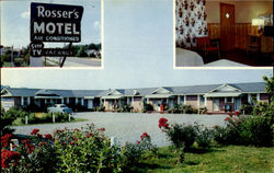 Rosser's Motel, U. S. 41 Calhoun, GA Postcard Postcard