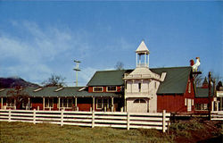 Lenore Stearns House And Garden Shop, 5091 St. Helena Highway Postcard