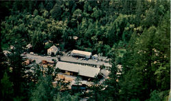 Cazadero California Postcard Postcard