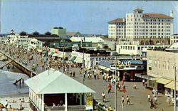 Ocean City New Jersey Postcard Postcard