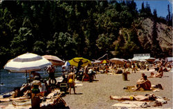 Johnson's Beach Guerneville, CA Postcard Postcard