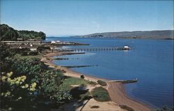 Lot of 1000 Unused Vintage Postcards: Tomales Bay, Marin County, California Mike Roberts Inverness, CA Postcard