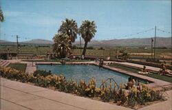 Roy Rogers' Apple Valley Inn Pool California Merle Porter Postcard Postcard Postcard