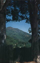 Sleeping Tamalpais, the legendary Indian Maiden Mill Valley, CA Abbie Purcell Photography Postcard Postcard Postcard