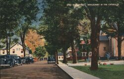 Main Street, Maplecrest in the Catskills Postcard