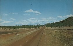 Highway 66 Flagstaff West Arizona Merle Porter Postcard Postcard Postcard