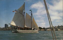 Schooner ALMA, San Francisco Bay Postcard