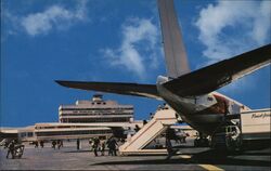 Lot of 1000: San Francisco International Airport, CA - Airplane at Gate California Airports Postcard Postcard Postcard