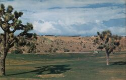 Hesperia Golf Course, California Postcard