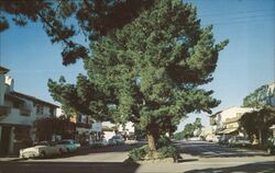 Picturesque Ocean Avenue, Carmel, CA Postcard