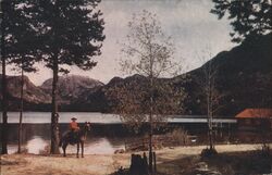 Cowboy on Horseback at Grand Lake, Rocky Mountain National Park Postcard