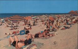 Lot of 800 Unused Postcards: Sun, Sand and Blue Water Beach Scene Postcard