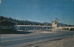 Thunderbird Inn, Williams, Arizona Postcard