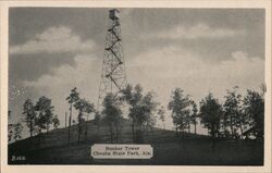 Bunker Tower, Cheaha State Park, Alabama Postcard