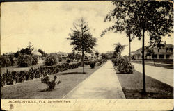 Springfield Park Jacksonville, FL Postcard Postcard