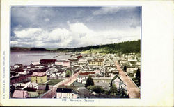 Birds Eye View Postcard